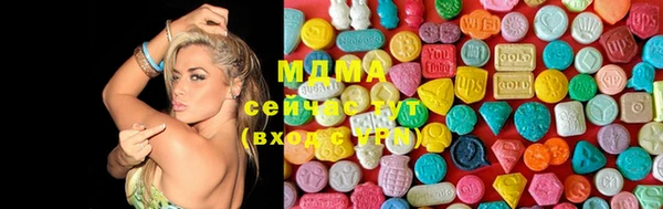 индика Михайловск