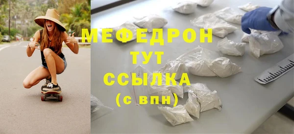 индика Михайловск