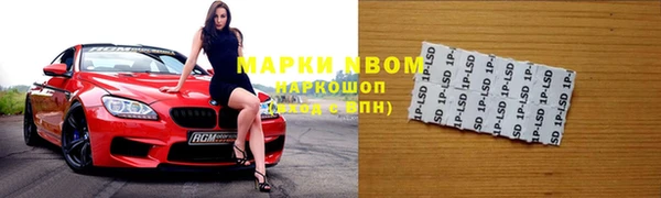 индика Михайловск