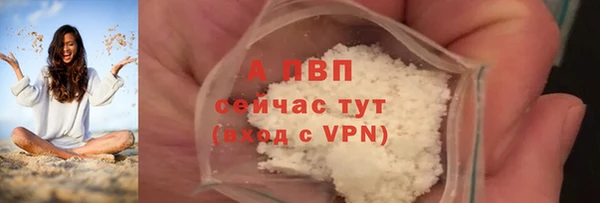 индика Михайловск