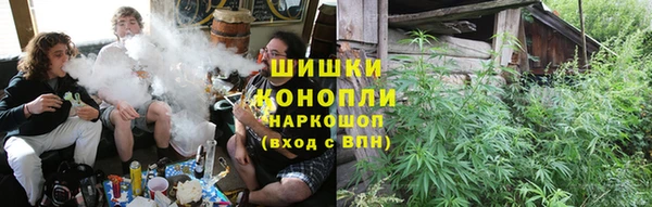индика Михайловск