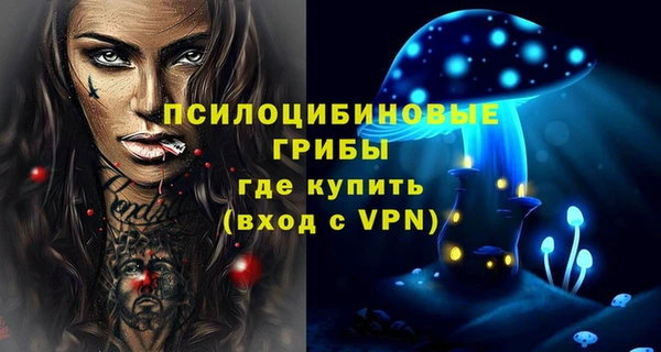 индика Михайловск