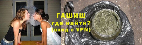 индика Михайловск