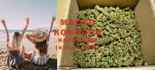индика Михайловск