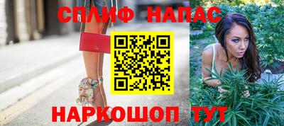 гидропоника Ставрополь
